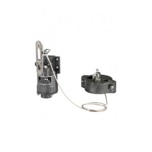 SH6560-W Weight Type Limit Switch